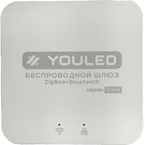 Беспроводной мультимодульный шлюз YOULED YL-NV-BOX-ZB