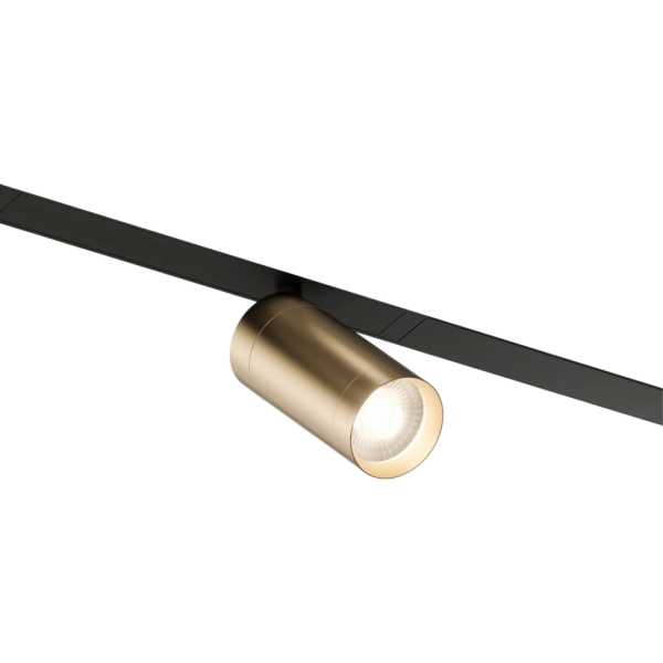 DK8010-BG Акцентный  светильник SMART SPOT 9W DIM 3000K-6000к матовое золото с черным