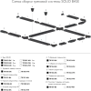 TRL-1-1-200-BK / Однофазный шинопровод черный (2м.)
