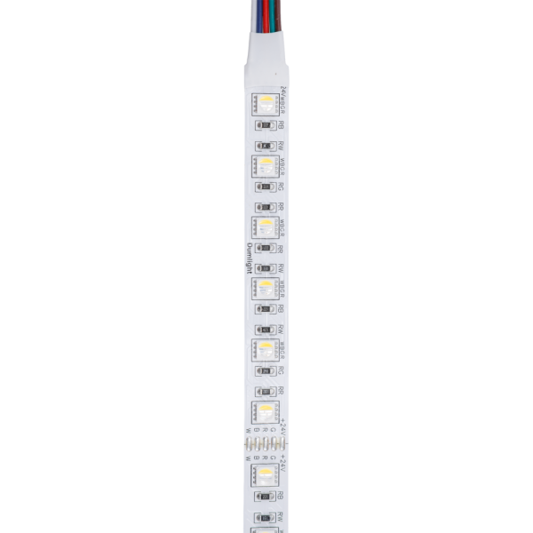 Светодиодная лента DLT5050- 60-24v-15.3w-12mm-RGB+4000K